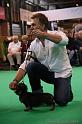 Crufts2011_2 1258